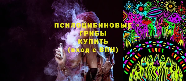 экстази Арсеньев