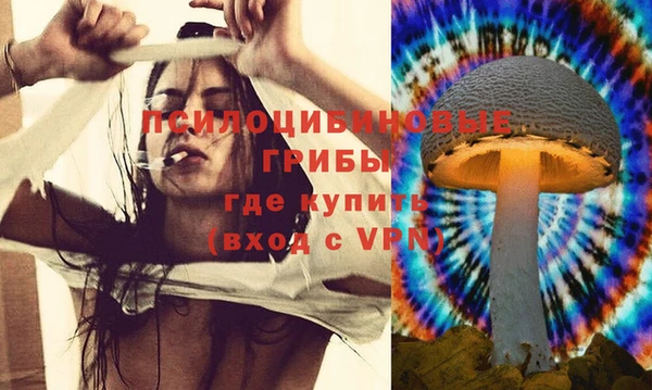 МДПВ Армянск